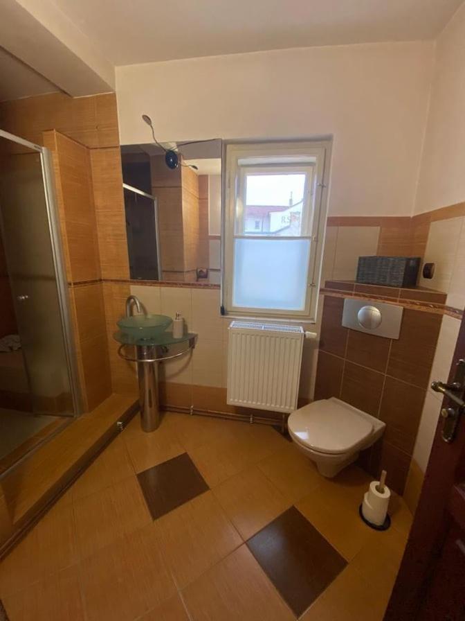 Vila Lucia - Apartman 3 Plzen Bagian luar foto