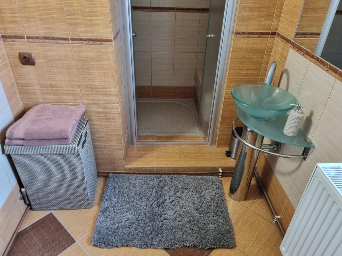 Vila Lucia - Apartman 3 Plzen Bagian luar foto